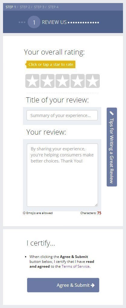 An Online Review Form